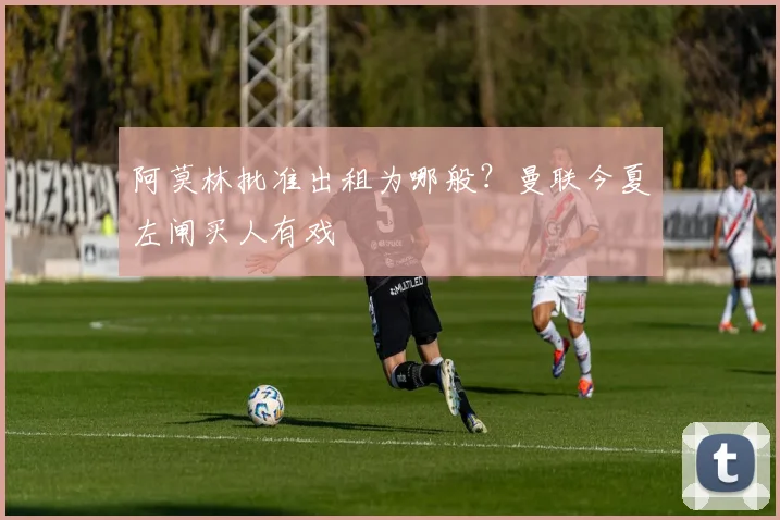 阿莫林批准出租为哪般？曼联今夏左闸买人有戏
