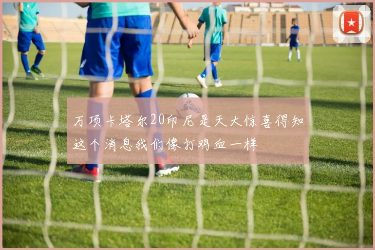 万项卡塔尔20印尼是天大惊喜得知这个消息我们像打鸡血一样