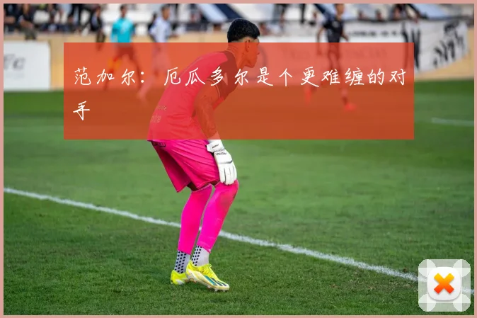 范加尔：厄瓜多尔是个更难缠的对手